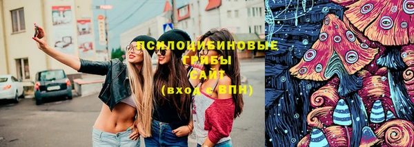 jwh Гусь-Хрустальный