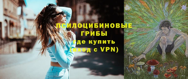 jwh Гусь-Хрустальный